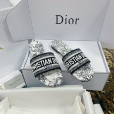 Christian Dior Slippers